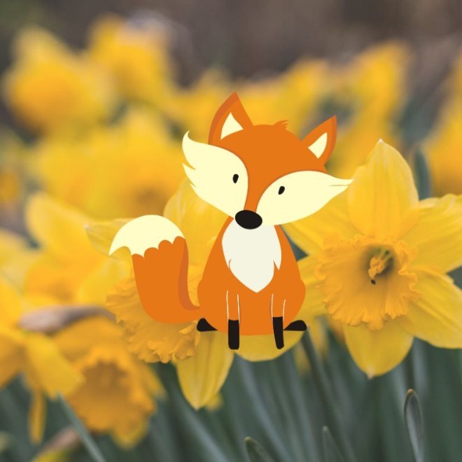Merle Fox's Biggest Morning Tea