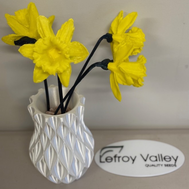 Lefroy Valleys Biggest Morning Tea